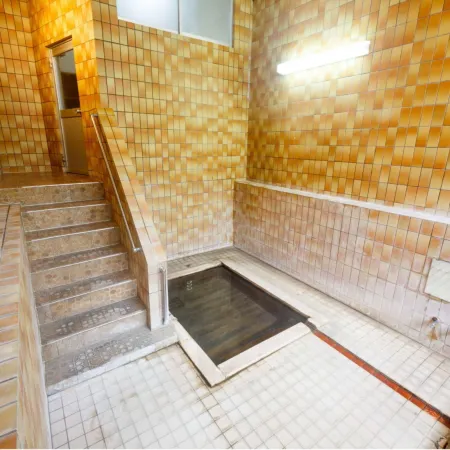 Yamaneya Ryokan