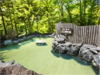Niseko Hot Spring Ikoino Yuyado Iroha - Hot Springs
