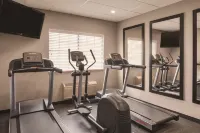 Country Inn & Suites by Radisson, Chicago-Hoffman - Gym