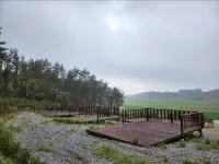 Haenam Daon Auto Camping Site