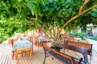 Adrasan Deniz Hotel Hotels in Adrasan