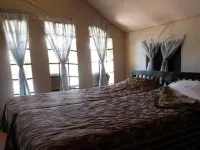 K Gudi Wilderness Camp-Jungle Lodges