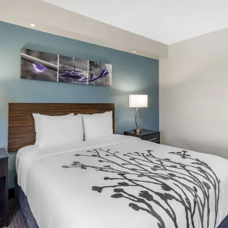 Sleep Inn Clearwater-St Petersburg