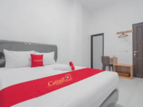 Cattail Guest House Hotel di Pontianak