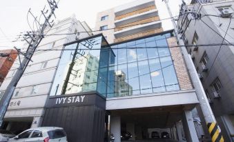 4. 아이비 스테이..