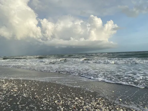 NEW condo! Just 15 min to Ft Myers and Sanibel beach! Great Location!!