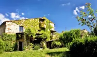 Beautiful apartment in Chianti on organic farm with pool and 360° sunset views