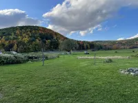 Spacious farmhouse on 3+ acres.  Pet and family friendly!