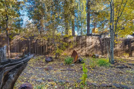 Beautiful Mountain Chalet in Arizona Отели рядом с достопримечательностью «Pinewood Trailhead»