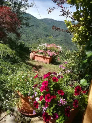In the Final Hills, ideal for bikers and climbers. Paradise 20 min from the sea. Hotels near Lake of Osiglia