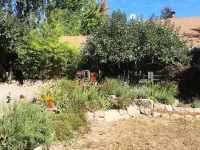 Cozy and Charming Apple Blossom Retreat—Relax with Nature