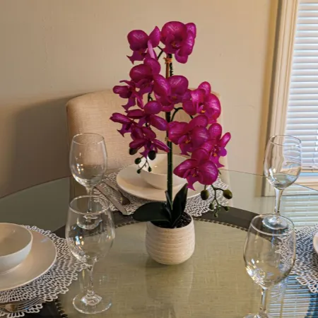 Charming 3-bedroom house in Pleasant Oak Grove with AC, WiFi