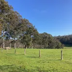 Cherswood Farm