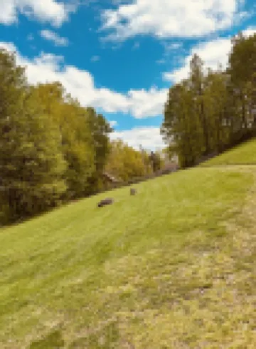 3 bedroom 1 full bath cabin 10 minutes from Cave Run Lake