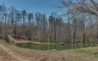 Piney Knob Cabin  15 Min To Lake Lure - 30 Min To Tiec - Hot Tub - Stocked Pond