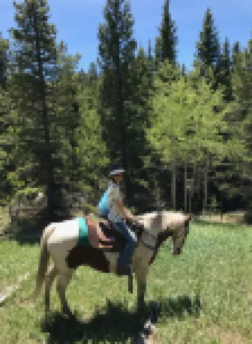 Family Friendly Property Nestled In An Aspen Grove