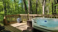Raccoon's Nook Tiny Home Hôtels à proximité de : Vogel State Park