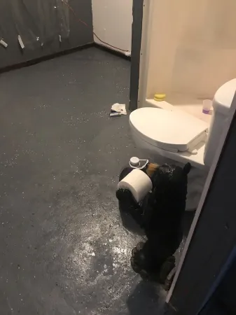 Peaceful relaxing and fun