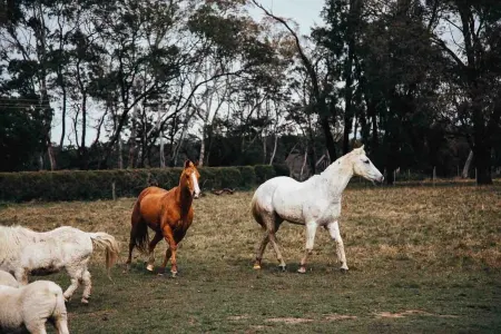 Roseanna Cottage - Modern Farm Cottage in a rural location Отели в г. Exeter