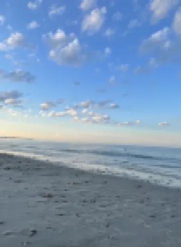 Seaside Coastal Escape 🌊 Hotels in Marshfield