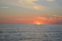 Lovely Guest Apartment Close to Several Beaches