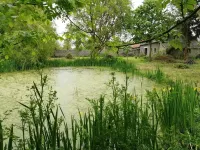 Independent studio 25m² 800 m from the sea