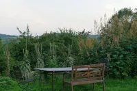 Small villa in the wild garden Hotels in Gummersbach