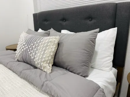 Guest Studio - Blocks from SHSU!