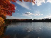 Cozy Cottage on water's edge of Lake Cobbosseecontee