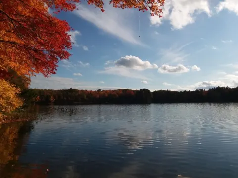 Cozy Cottage on water's edge of Lake Cobbosseecontee