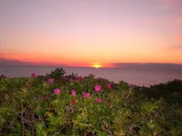 Lone-standing vacation home with a large garden in a peaceful location Hotels in Brookmerland