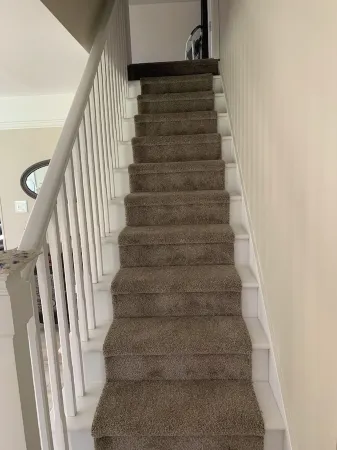 TC Gem! Within 2 blocks of the TC TART trail, and great establishments.