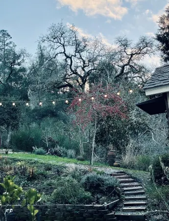 🌿5.0 Rating🌿 Sunny, spacious cozy retreat + firepit. World-class trails!