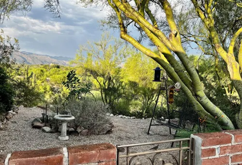 Quiet desert getaway with beautiful views and heated pool, pet-friendly