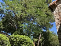 Cottage in the green, a stone's throw from the sea Hotel a Numana