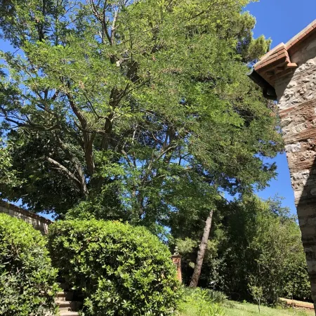 Cottage in the green, a stone's throw from the sea