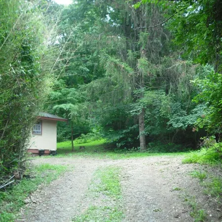Blue Mountain Cabin, secluded, perfect for couples, near main road