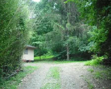 Blue Mountain Cabin, secluded, perfect for couples, near main road Hotels in Warren County