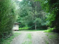 Blue Mountain Cabin, secluded, perfect for couples, near main road - Hytter