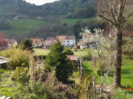 Cottage in the heart of the Vosges