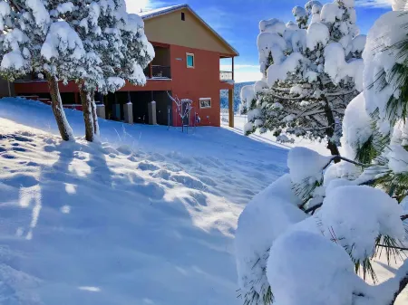 Large 700Sft Downstairs Rental.1 Bedroom 1 Bedroom. No Other Guests on Property