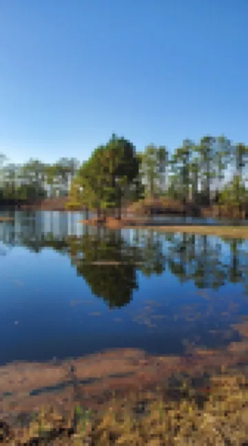 The Blackwater refuge country house on a quiet 12 acres