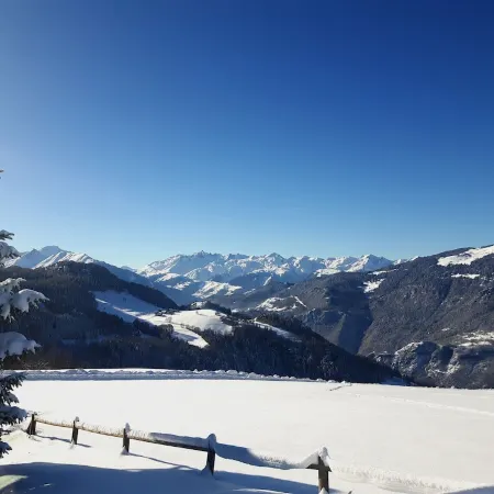 Les Mélèzes - Very beautiful Chalet 200m from the slopes of La Plagne - 12-15 pers.