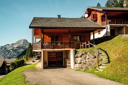 Charming 12-person chalet with Wi-Fi and sauna - Chatel Reservation