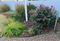 Historic 2-Bed Gem in St. Charles French Town Hotels in Saint Charles