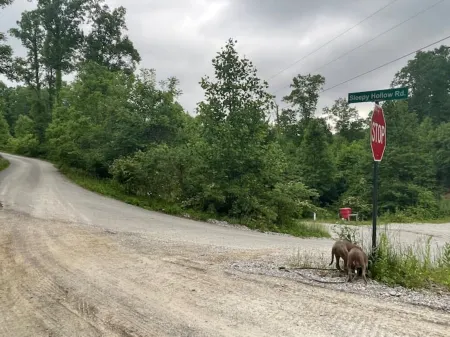 Lake views in fall, sleeps up to 4 with a hot tub.