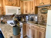 UNIQUE FISHING THEME Studio, complete renovation, FREE WI-FI 布蘭森住宿飯店