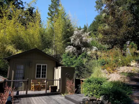 Luxury Redwoods Estate Compound w/ Hot Tub and Fire Pit
