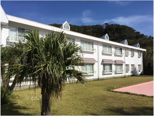 Hotel Palm Beach فنادق في أوشيما