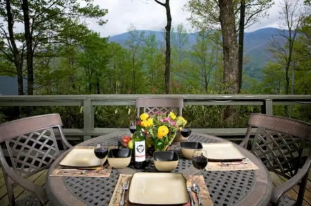 🌲Roaring Fork Chalet: MTN View, Hiking, Waterfalls, Trails - Dog Friendly!🐕‍🦺